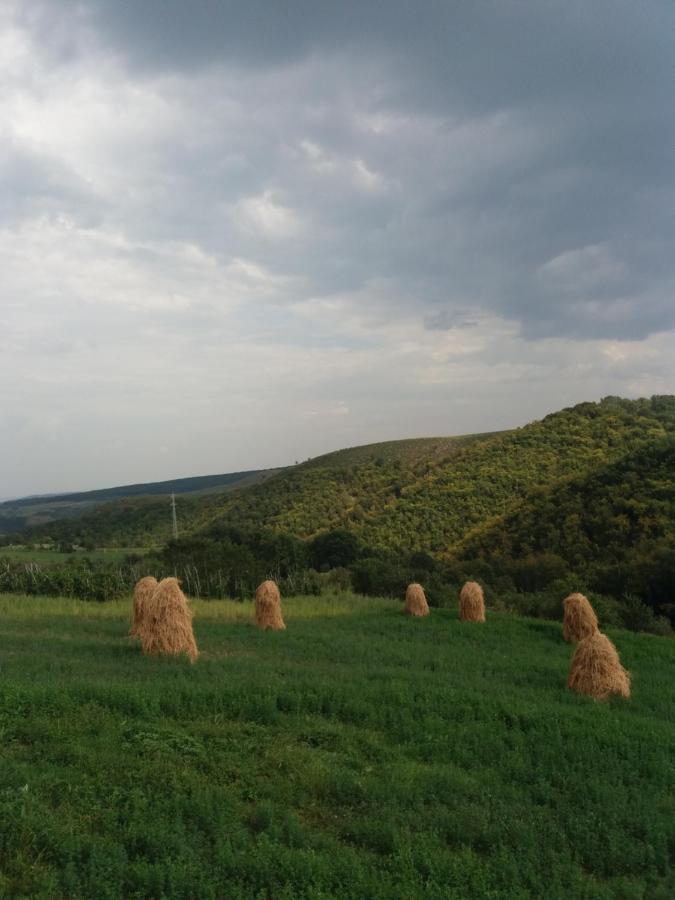Vila Aloman Себеш Экстерьер фото