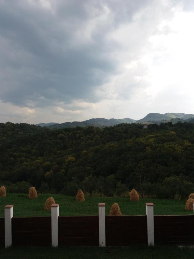 Vila Aloman Себеш Экстерьер фото