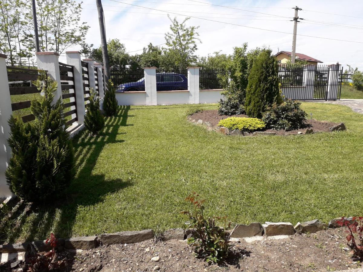 Vila Aloman Себеш Экстерьер фото