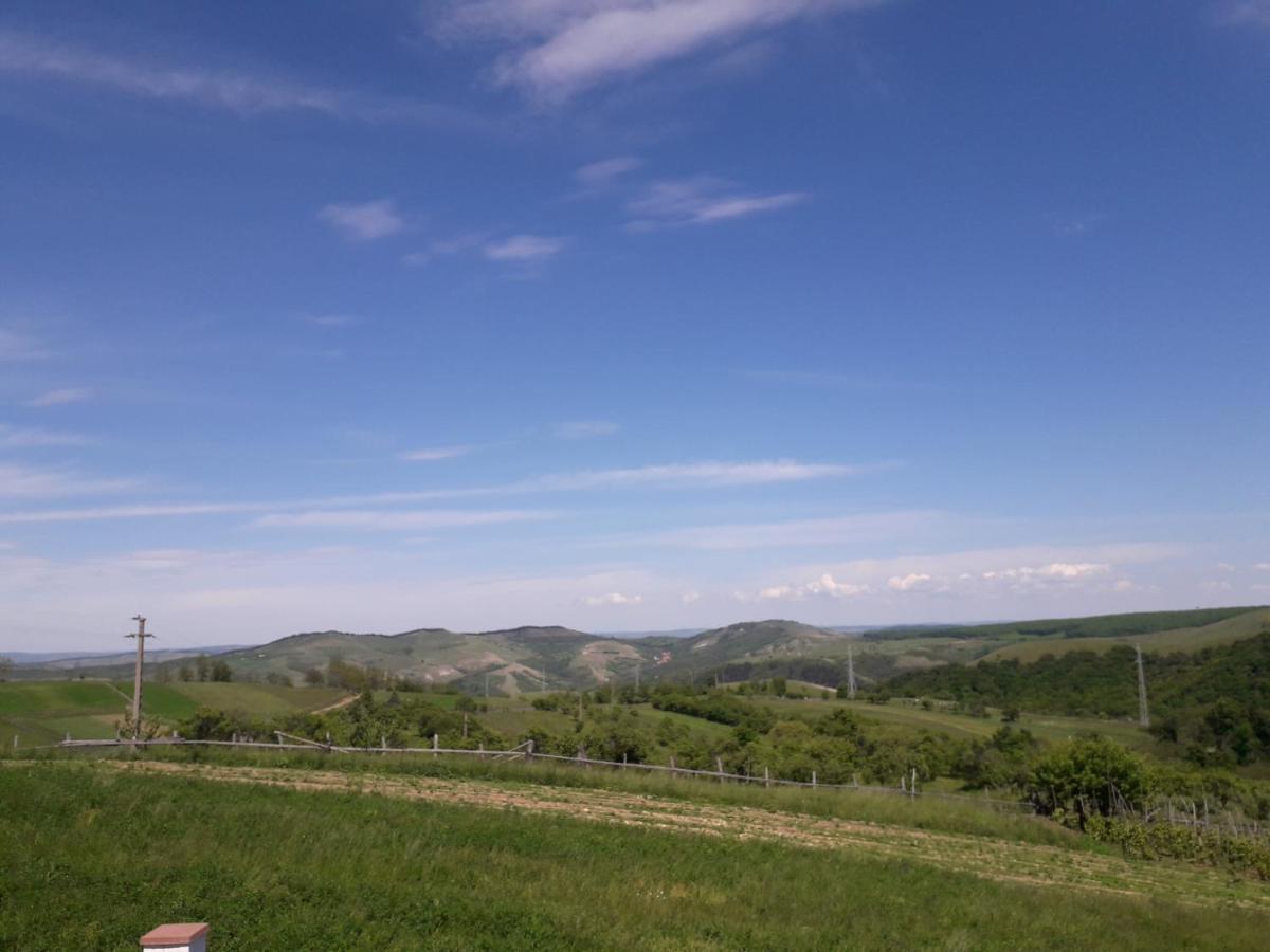 Vila Aloman Себеш Экстерьер фото