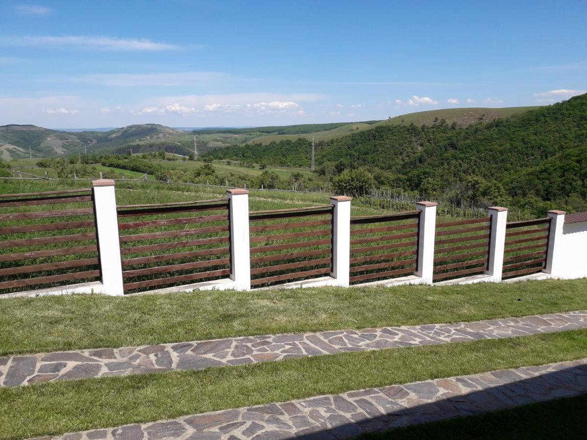 Vila Aloman Себеш Экстерьер фото