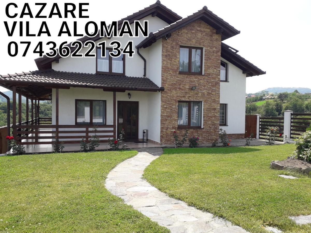 Vila Aloman Себеш Экстерьер фото