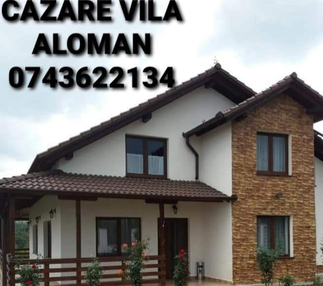 Vila Aloman Себеш Номер фото